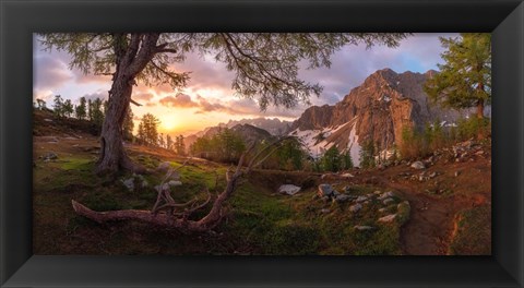 Framed Magical Morning Print