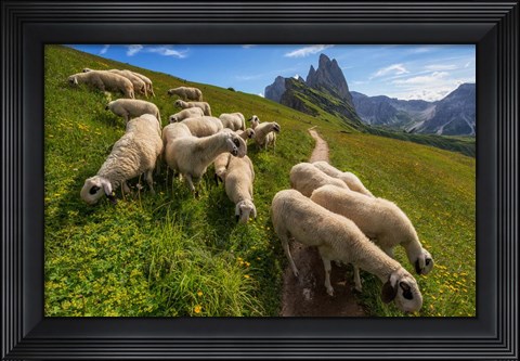 Framed On the Way to Odle mountains Print