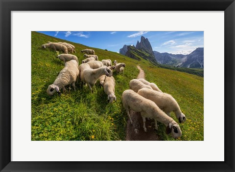 Framed On the Way to Odle mountains Print