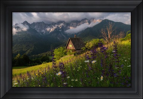 Framed On the Meadows Print