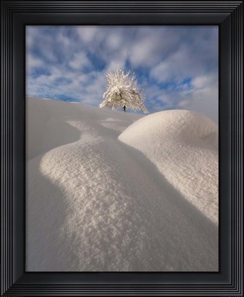 Framed Curves of a Winter Landscape Print