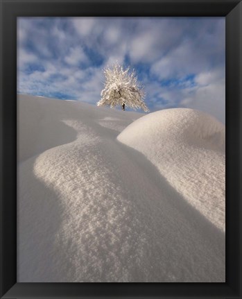 Framed Curves of a Winter Landscape Print