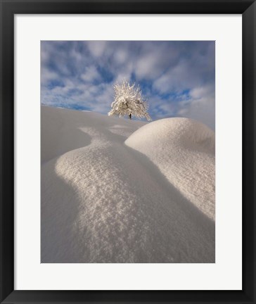 Framed Curves of a Winter Landscape Print