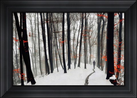 Framed Through Autumn and Winter Print