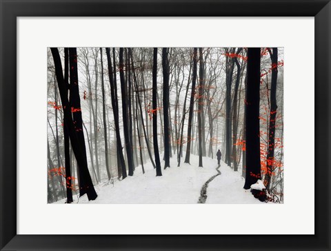 Framed Through Autumn and Winter Print