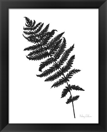 Framed Neutral Fern black I Print