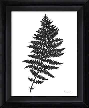 Framed Neutral Fern black II Print