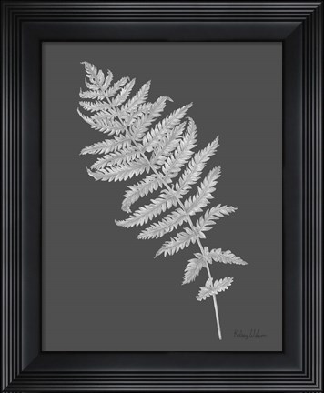 Framed Neutral Fern on grey I Print