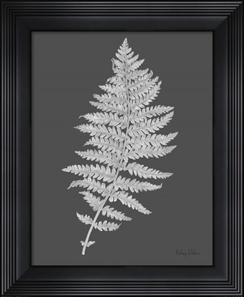 Framed Neutral Fern on grey II Print