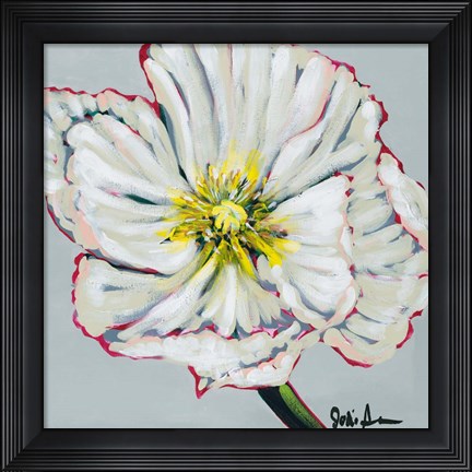 Framed Fresh Poppy II Print