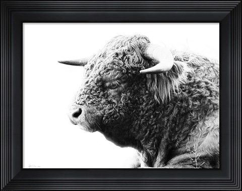 Framed My Highland II Print