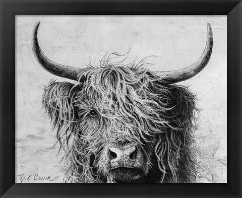 Framed Highland in the Wind I Print