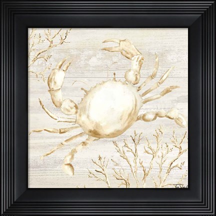 Framed Calm Shores II Print