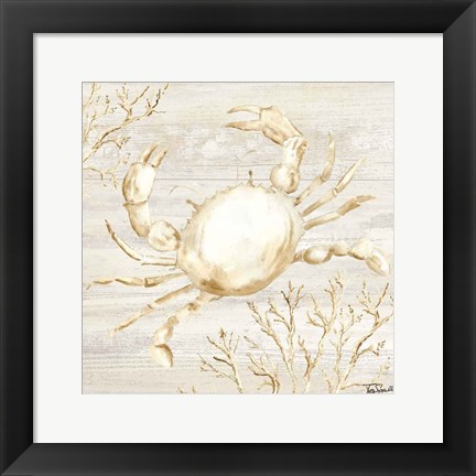 Framed Calm Shores II Print