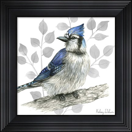 Framed Backyard Birds I-Blue Jay Print