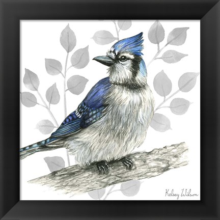 Framed Backyard Birds I-Blue Jay Print