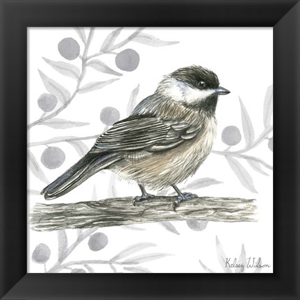 Framed Backyard Birds II-Chickadee Print