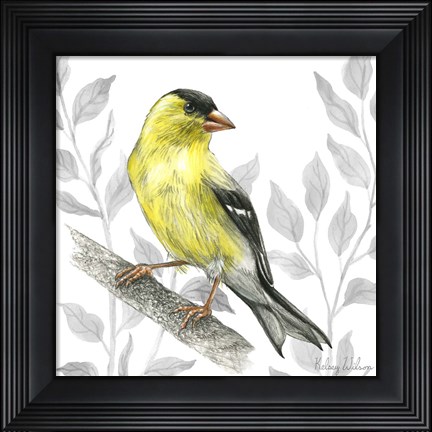 Framed Backyard Birds III-Goldfinch I Print