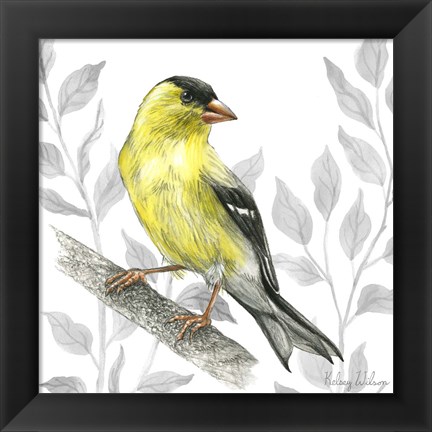 Framed Backyard Birds III-Goldfinch I Print