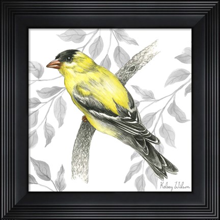 Framed Backyard Birds IV-Goldfinch II Print