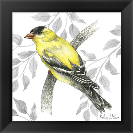 Framed Backyard Birds IV-Goldfinch II Print