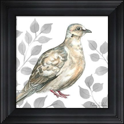 Framed Backyard Birds V-Mourning Dove Print