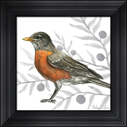 Framed Backyard Birds VI-Robin Print
