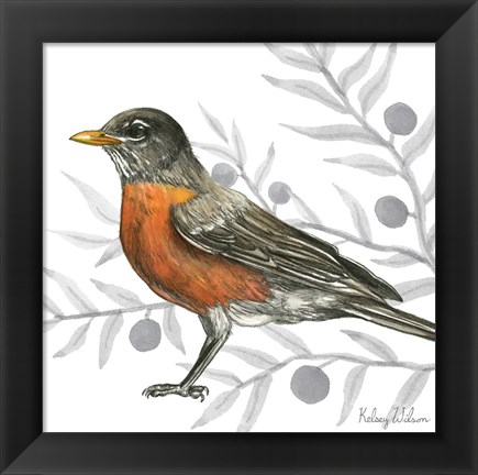 Framed Backyard Birds VI-Robin Print