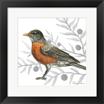 Framed Backyard Birds VI-Robin Print