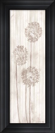 Framed Allium VI Print