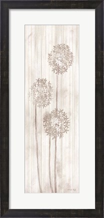 Framed Allium VI Print