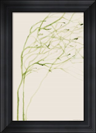 Framed Thistle and Thatch Print