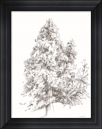 Framed Whispering Pines 1 Print