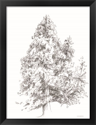 Framed Whispering Pines 1 Print