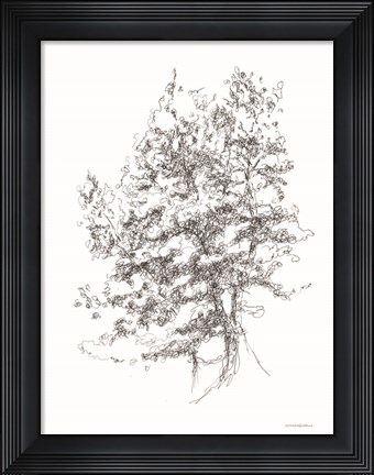 Framed Whispering Pines 2 Print