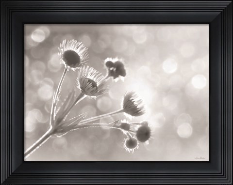 Framed Wild Flowers I Print