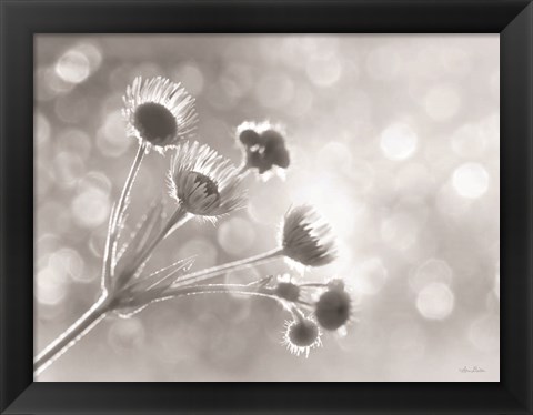 Framed Wild Flowers I Print