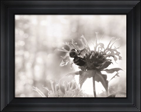 Framed Wild Flowers II Print