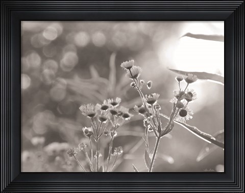 Framed Wild Flowers III Print