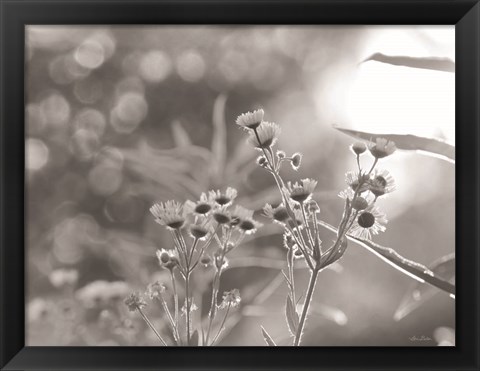 Framed Wild Flowers III Print