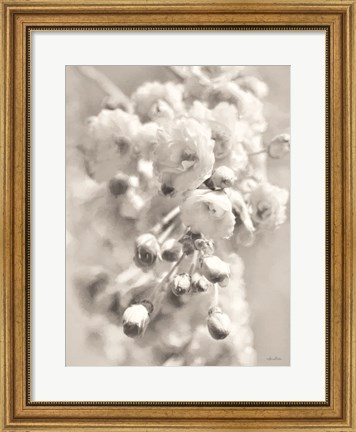 Framed Painted Blossoms II Print