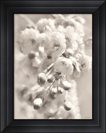 Framed Painted Blossoms II Print
