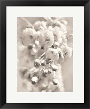 Framed Painted Blossoms II Print