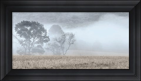 Framed Blue Misty Morning Print