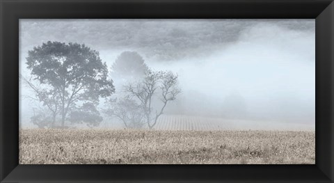 Framed Blue Misty Morning Print