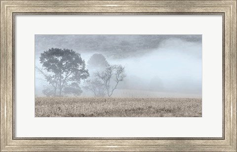 Framed Blue Misty Morning Print
