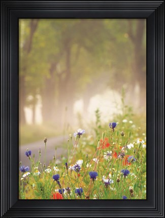 Framed Bee Pleasure Print