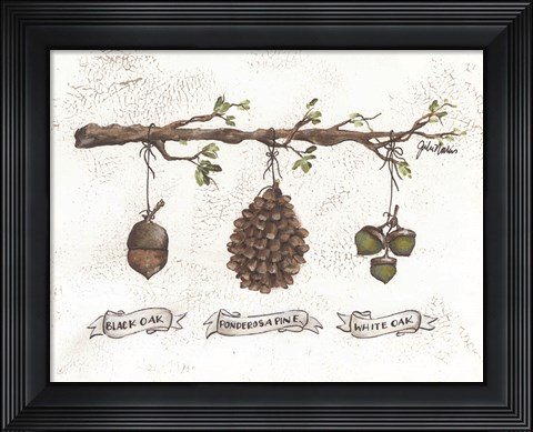 Framed Pinecone Acorn Study Print
