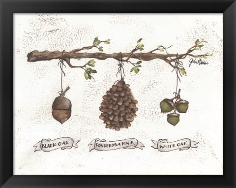 Framed Pinecone Acorn Study Print