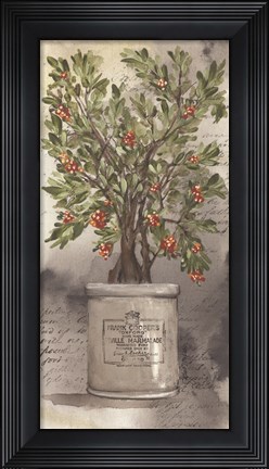Framed Bittersweet Bush Print